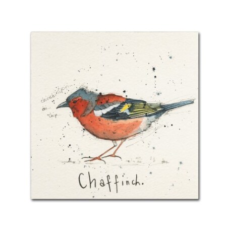 Trademark Fine Art Michelle Campbell 'Chaffinch' Canvas Art, 18x18 ALI10903-C1818GG